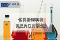 REACHⱨ棬REACH֤